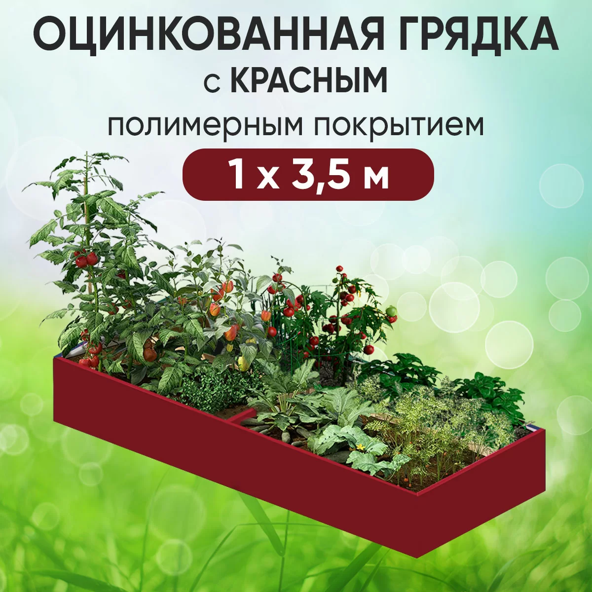 Грядка красная (1 х 3,5)